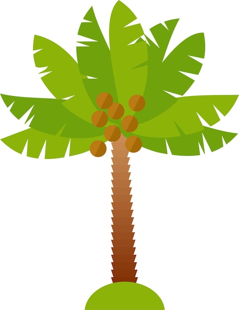 Vector icon of coconut palm tree in flat style