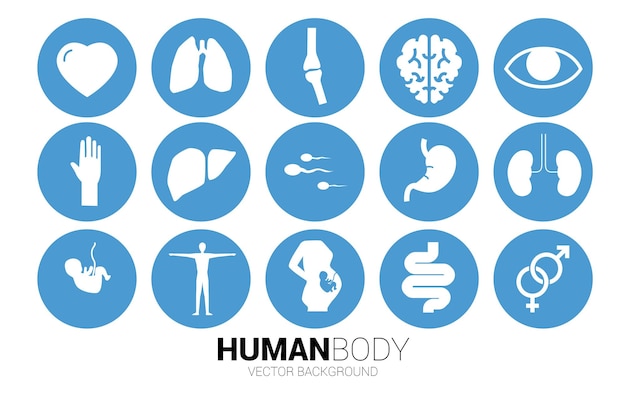 Icon for human part and organic Concept for hospital department and healthy