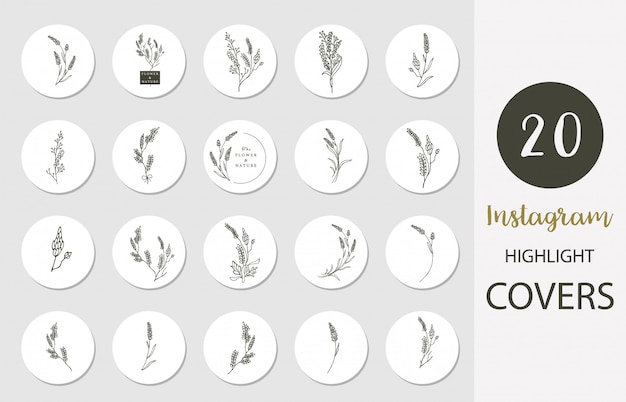 Icon of instagram highlight cover with lavender,flower,leaf in boho style for social media