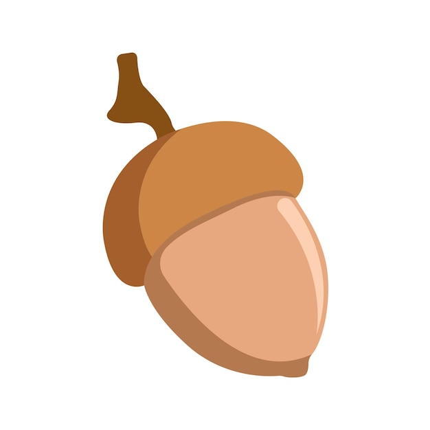 Icon ontwerp vector sjabloon van walnoot