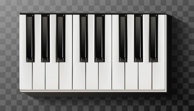 Vector icon  piano with keyboard black and white.