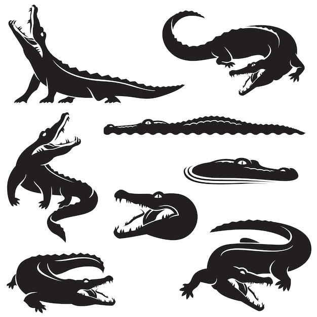 icon set of crocodile