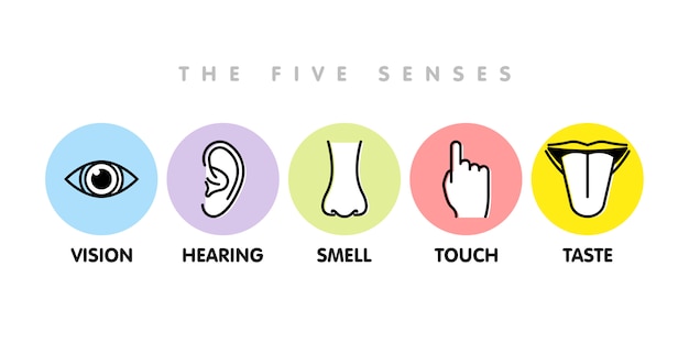 Icon set of five human senses