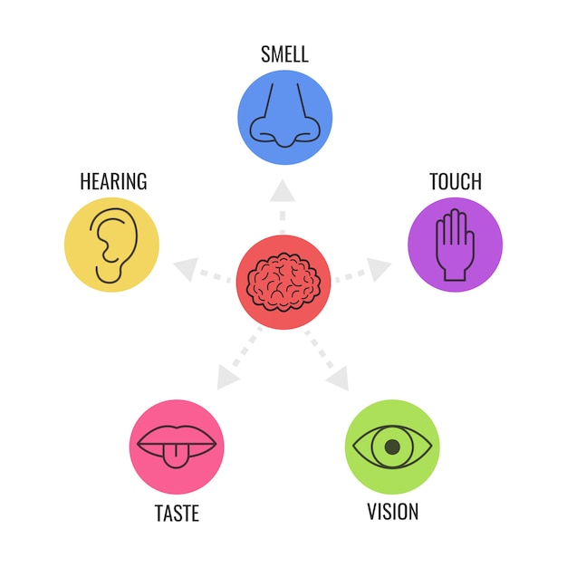 Набор иконок из пяти человеческих чувств