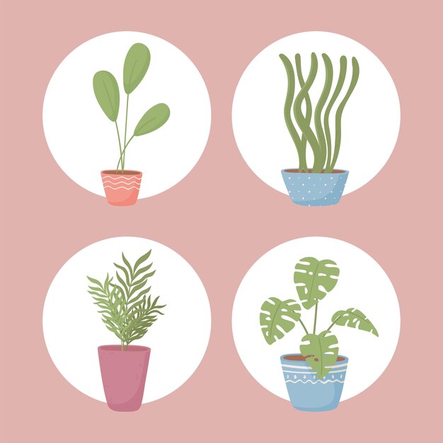 Icon set potplanten