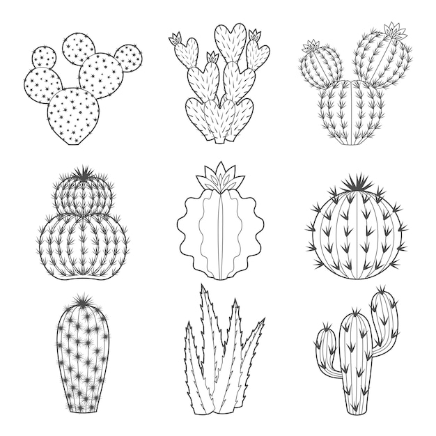 icon set van contour cactus en succulent