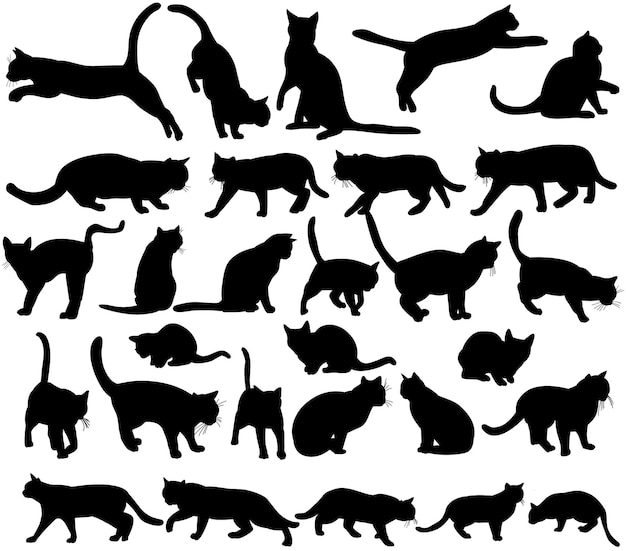 Icon silhouette cat set collection