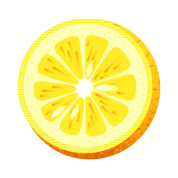 Icon of slice of lemon against white background vector illustration of round shaped slice fresh ripe