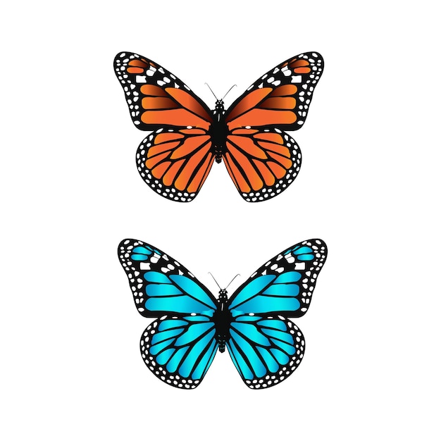 Icon of two stunning butterflies