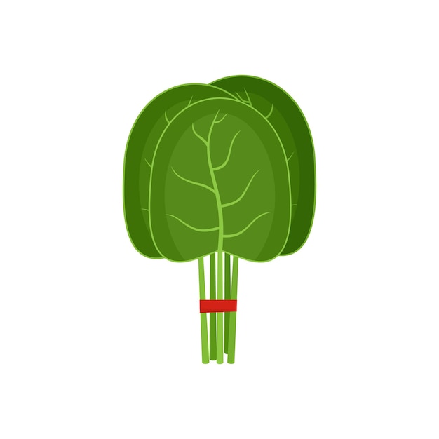 Icon van een groep spinaziebladeren vlakke illustratie van een groep spinachbladeren vector-icon voor web geïsoleerd op wit