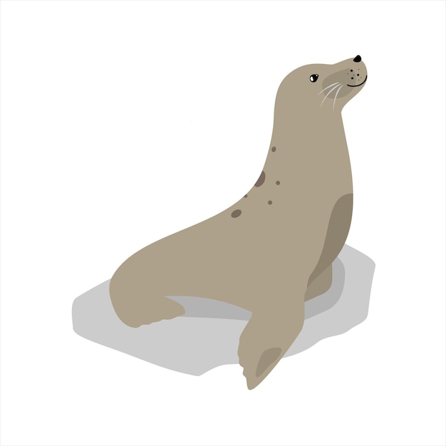 Icon van een schattig zeedier geïsoleerd op een witte vectorillustratie
