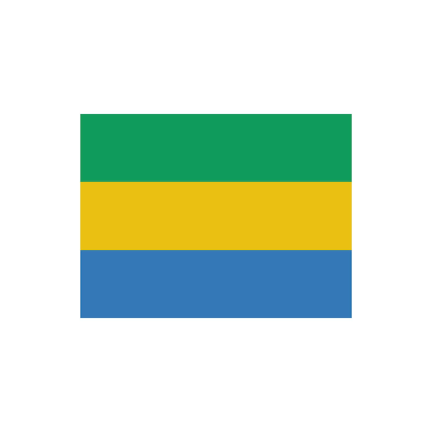 Icon vector van de vlag van Gabon