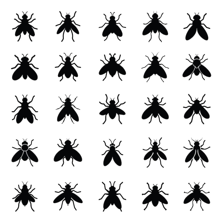 Vector iconen van de vlieg