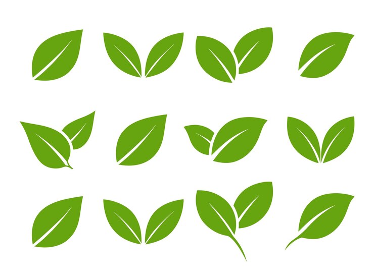 Vector iconen van groene bladeren natuurlijke en milieuvriendelijke vectorelementen