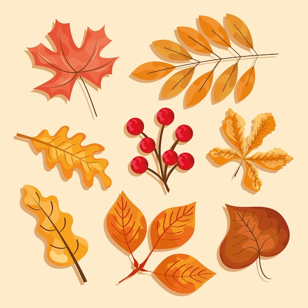 Icons of autumn leaves