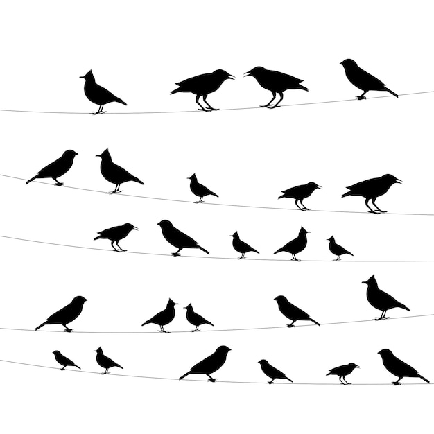 Icons birds on wires