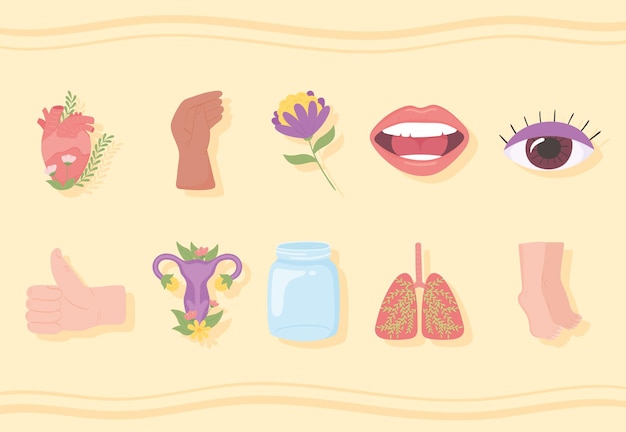 Vector icons human body parts