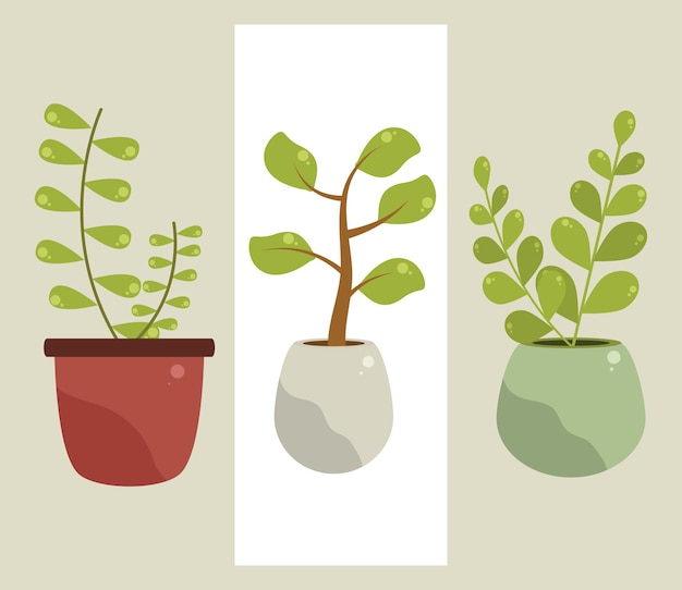 Icone impostate piante d'appartamento