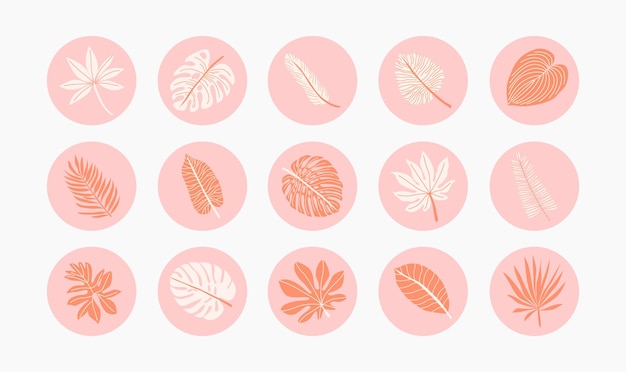 아이콘 여름 방학열대 몬스터 야자수 잎 세트정글 단풍이국적인 Instagram 하이라이트