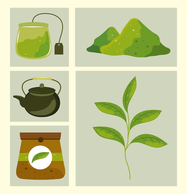 Vector icons traditional matcha tea