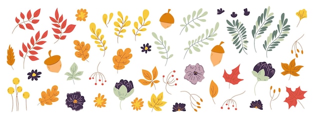 Ig doodle set hand getrokken herfst bloemdessin elementen herfst elementen laat bloemen op witte achtergrond voor herfst herfst landbouw oogst Thanksgiving of Halloween ontwerpen