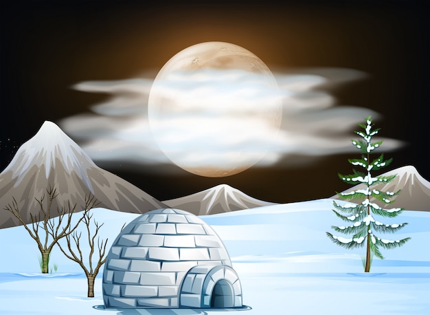 Vector igloo and snow scene at night