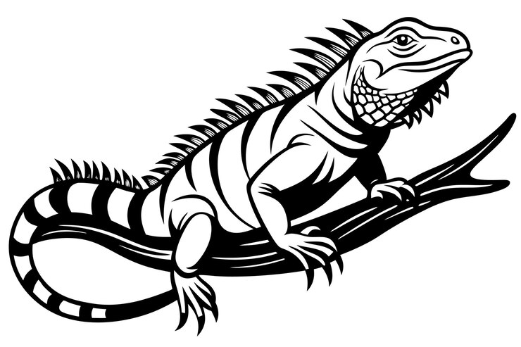 Vector iguana on branch in black and white embracing nature vector illustration on white background