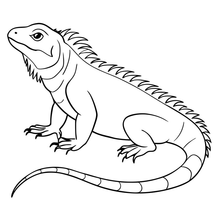 Vector iguana lijnkunstvector