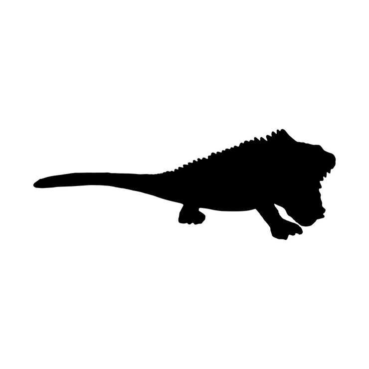 Vector iguana silhouette set collection isolated black on white background vector illustration