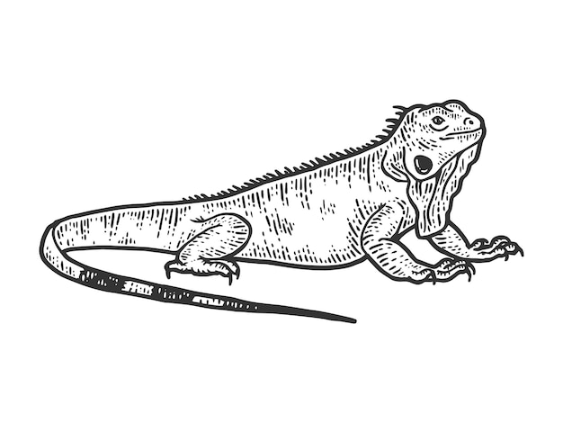 Schizzo dell'iguana che disegna una grande lucertola disegno di stampa dell'abbigliamento