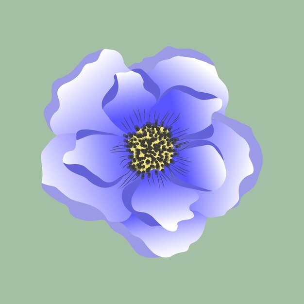 iisolated illustration of violet flower anemone