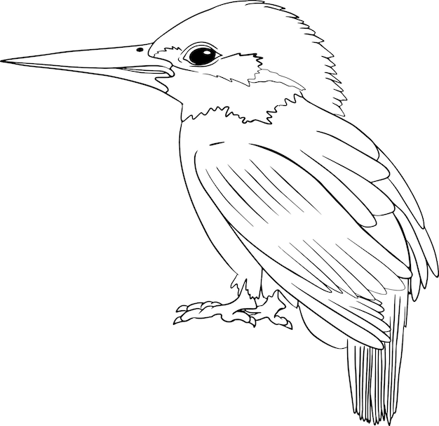 Ijsvogel. Vector schets van hand getrokken vogel. Lineaire dierenkunst.