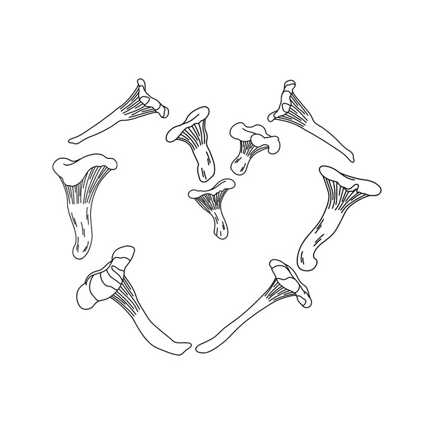 흰색 배경에 격리된 라인 아트 스타일로 살구류로 만든 그림된 버섯 심장.