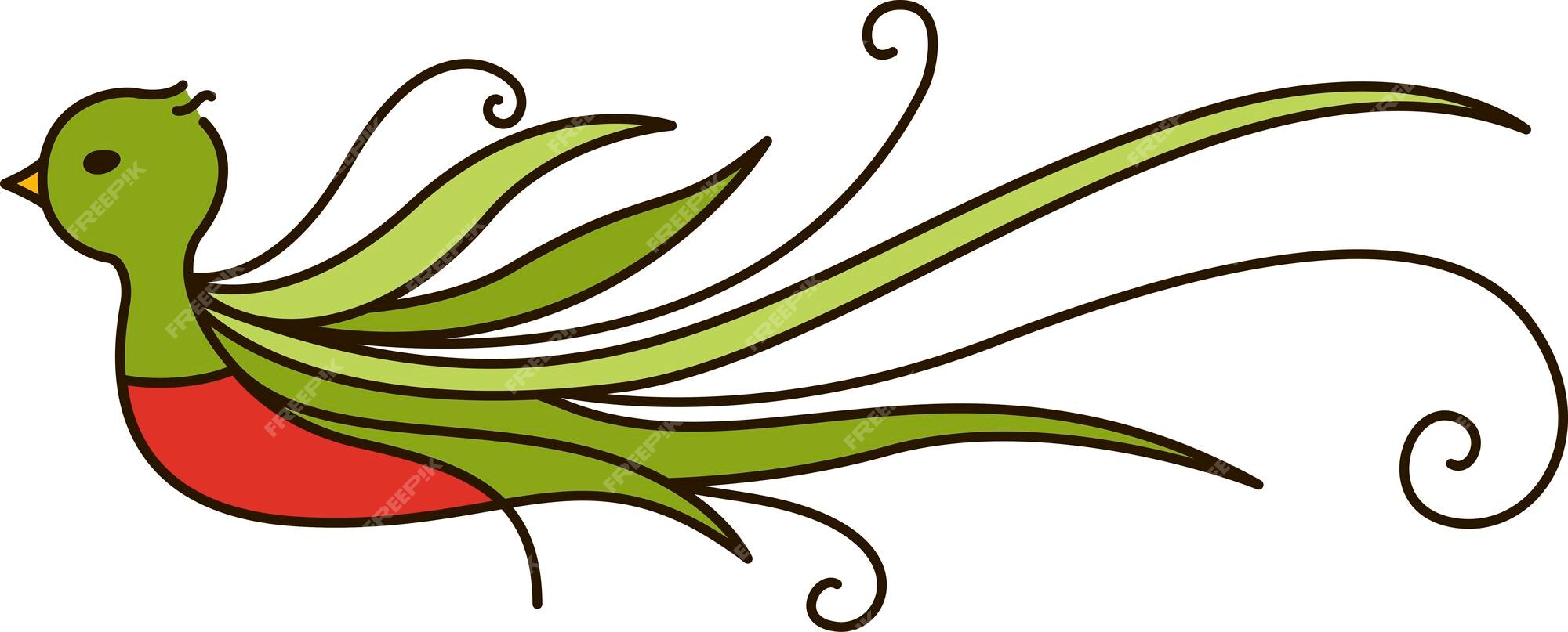 Premium Vector | Illustrated national bird of guatemala