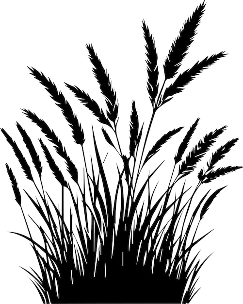 Vector illustratie 4 van het silhouet van het grasvector