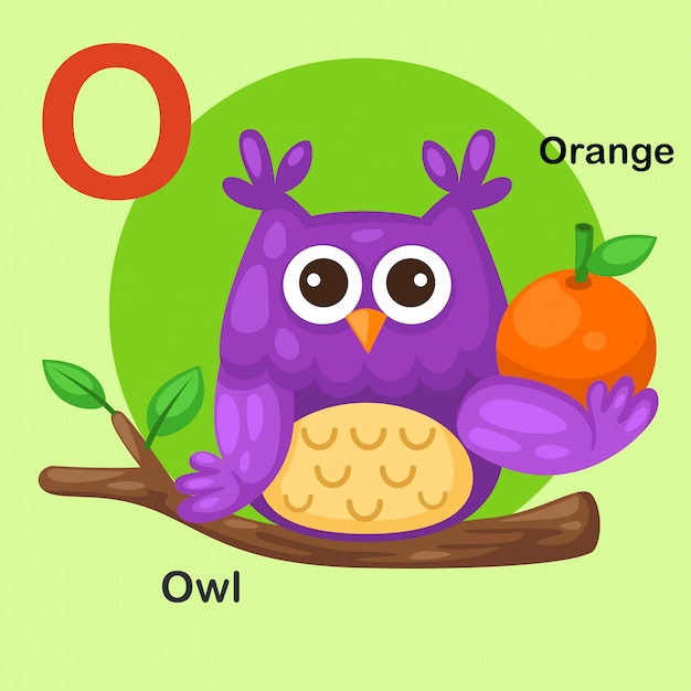 Illustratie geïsoleerd dier alfabet brief o-owl, oranje