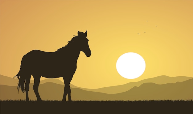 illustratie: Landschap met zonsondergang en paardensilhouet.