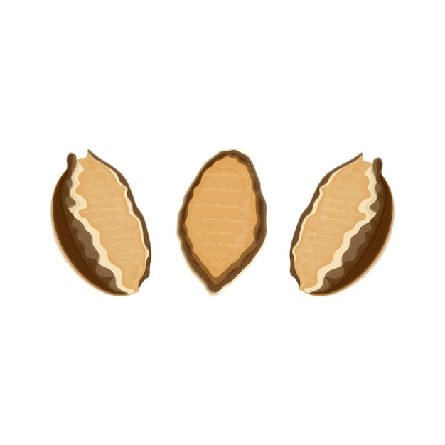 Illustratie logo geïsoleerde verse abalone