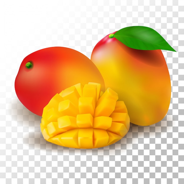 Vector illustratie realistische mango op transparant