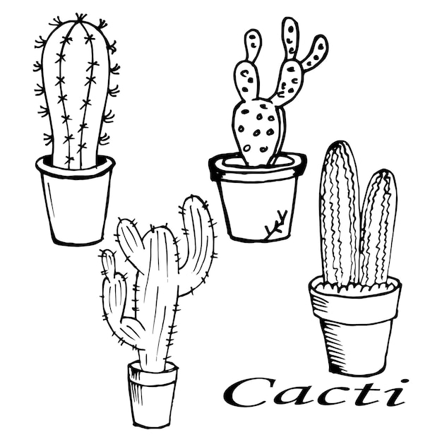 illustratie set getekende contourcactussen in potten