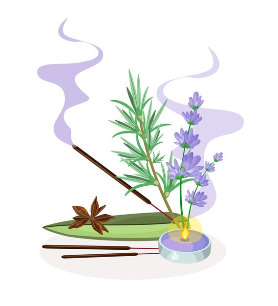 Vector illustratie van aroma- en spa-accessoires aromatische oliën, luchtverfrissers, zie zouten, aromakaarsen en parfum in een gedetailleerde stijl illustratie voor aromatherapiestudio's en massagesalons