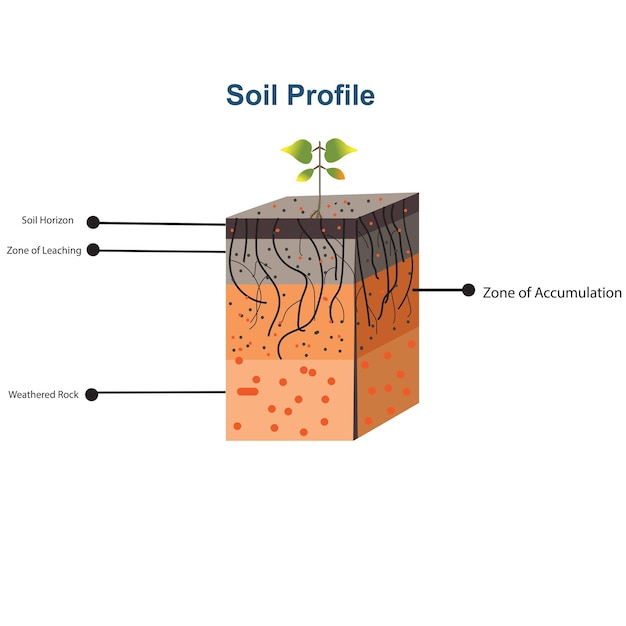 Illustratie van bodemhorizonten