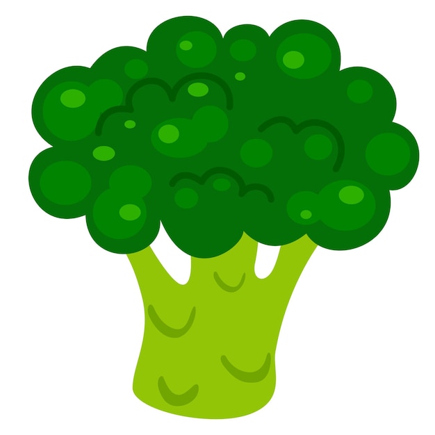 Vector illustratie van broccoli wit op achtergrond vector