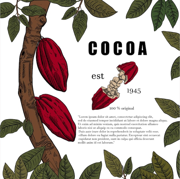 Illustratie van cacaoboom poster in gravurestijl