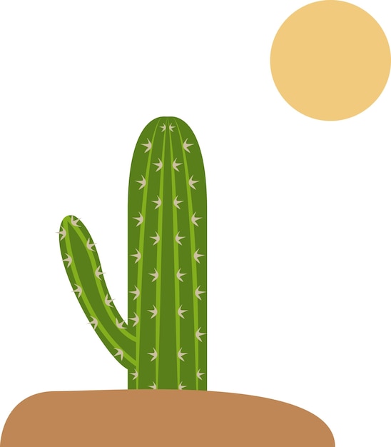 illustratie van cactus