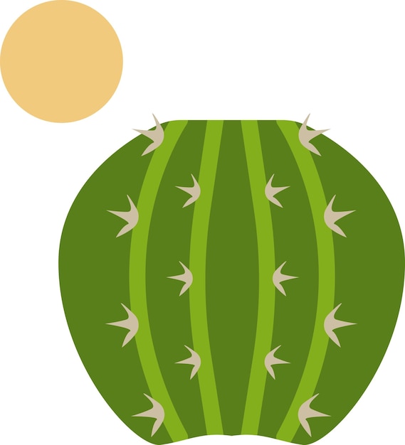 illustratie van cactus