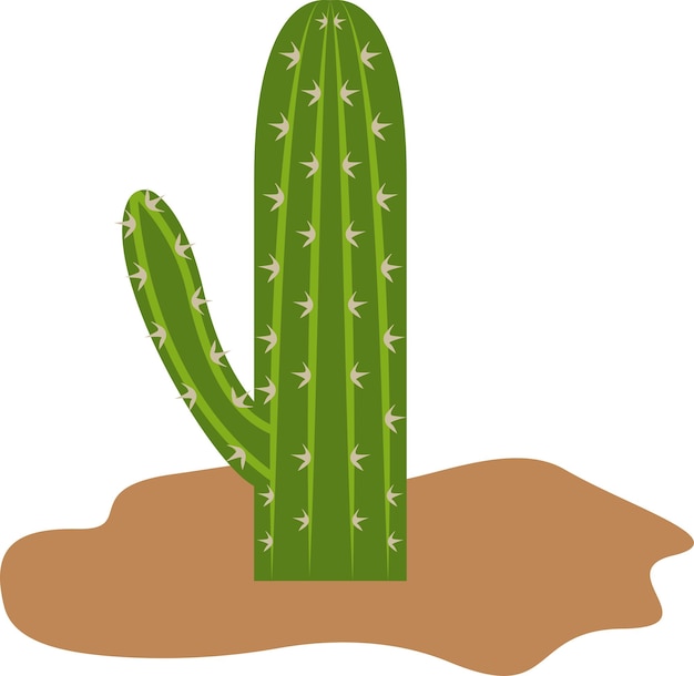 illustratie van cactus