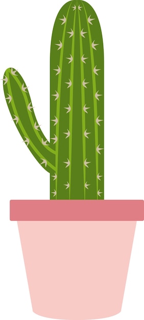 illustratie van cactus