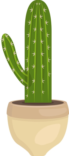 illustratie van cactus