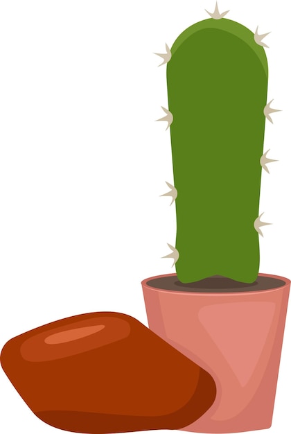 illustratie van cactus